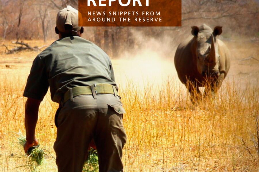 Lapalala Reserve Report – August 2019