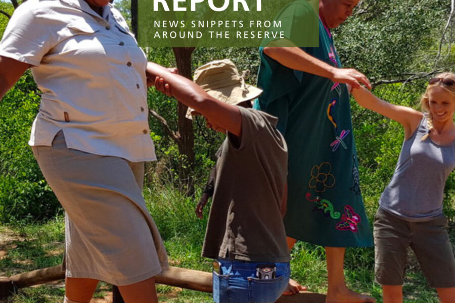 Lapalala Reserve Report –  December 2019
