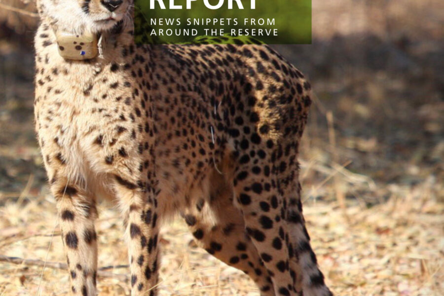 Lapalala Reserve Report – July 2019