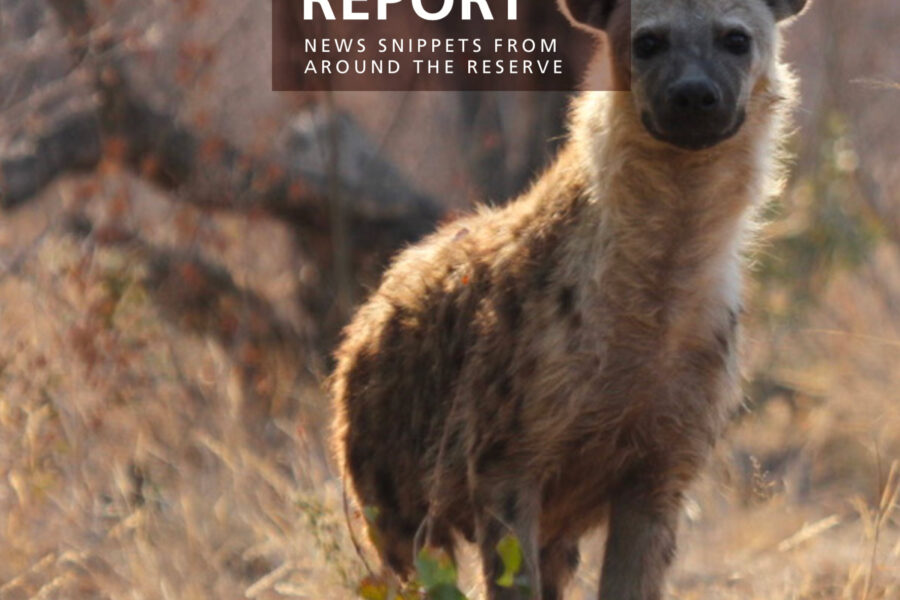Lapalala Reserve Report – October 2019
