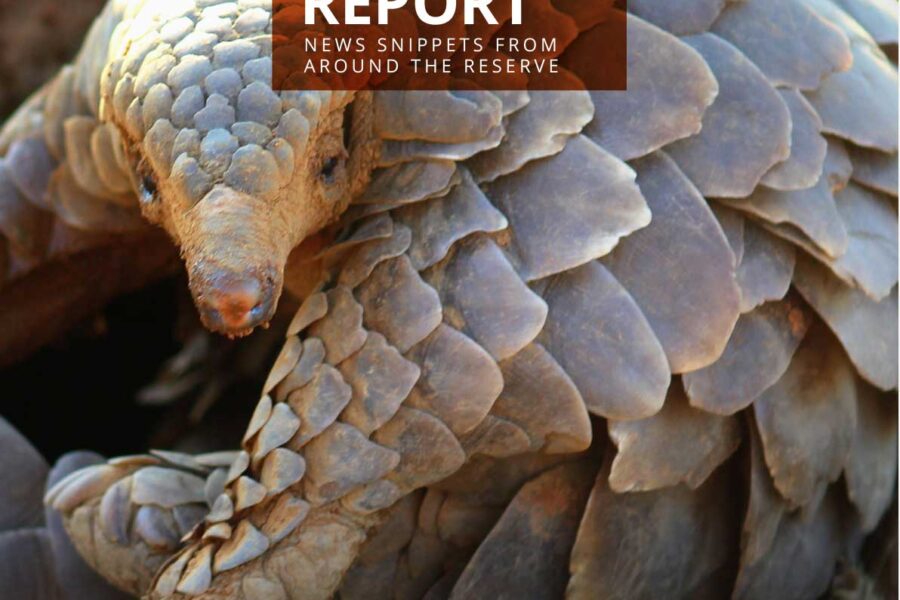 Lapalala Reserve Report – Volume 1 – 2023