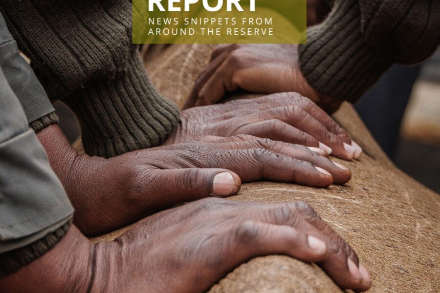 Lapalala Reserve Report – Volume 3 – 2023