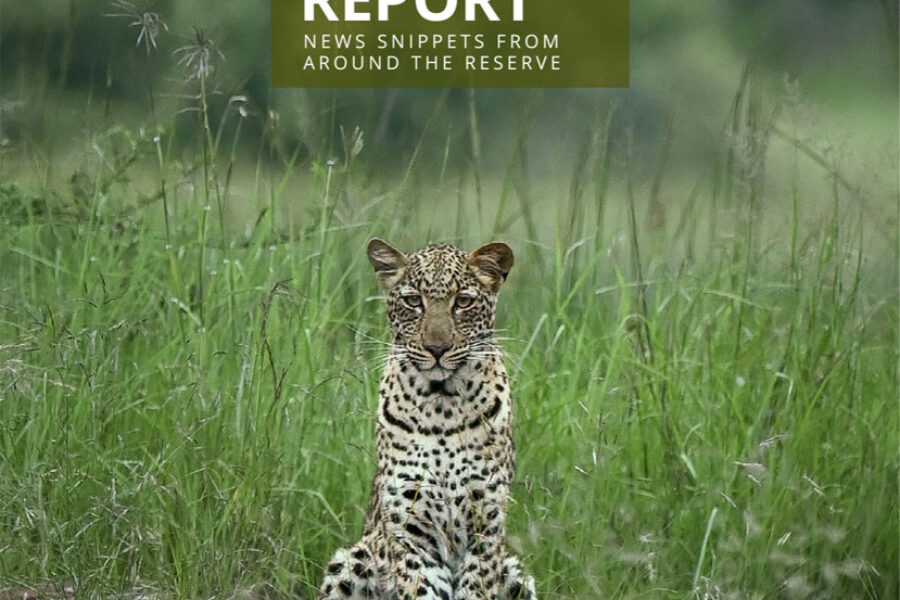 Lapalala Reserve Report – Volume 1 – 2024