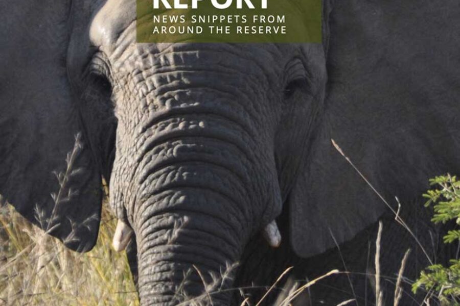 Lapalala Reserve Report – Volume 2 – 2025