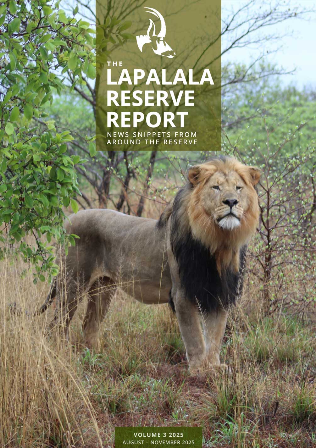 Lapalala Reserve Report – Volume 3 – 2025